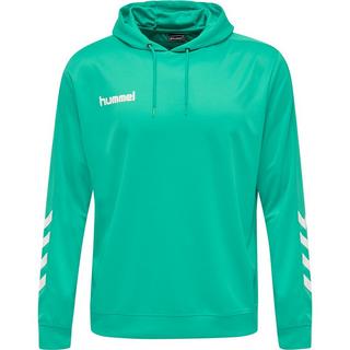 Hummel  sweatshirt à capuche hmlpromo poly 