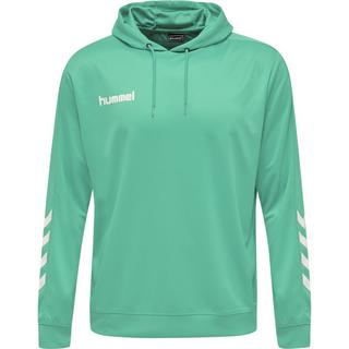 Hummel  sweatshirt à capuche hmlpromo poly 