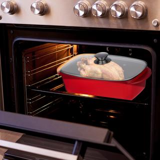 B2X Rostiera con coperchio  