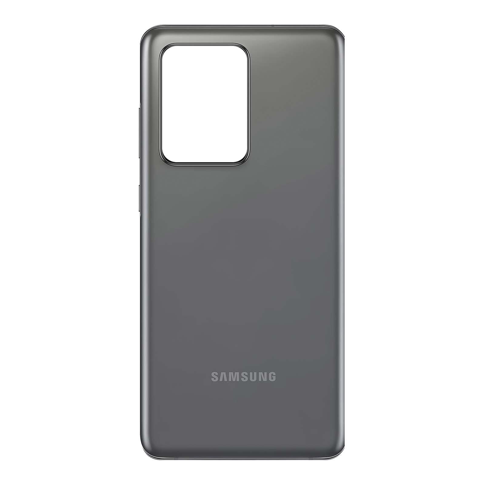 Avizar  Cache Batterie Samsung S20 Ultra Gris 