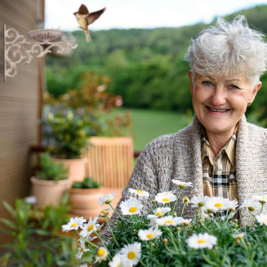 B2X  Bain d'oiseaux en fonte 