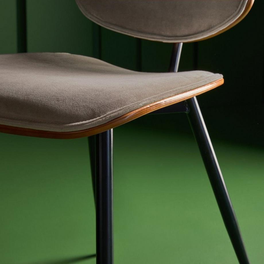 Calicosy 6 Stühle aus Samt Olympia  