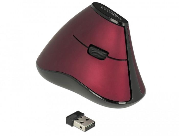 DeLock  Ergonomische Maus 12528 USB kabellos 