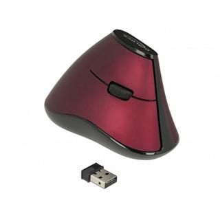 DeLock  Ergonomische Maus 12528 USB kabellos 