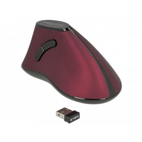 DeLock  Ergonomische Maus 12528 USB kabellos 