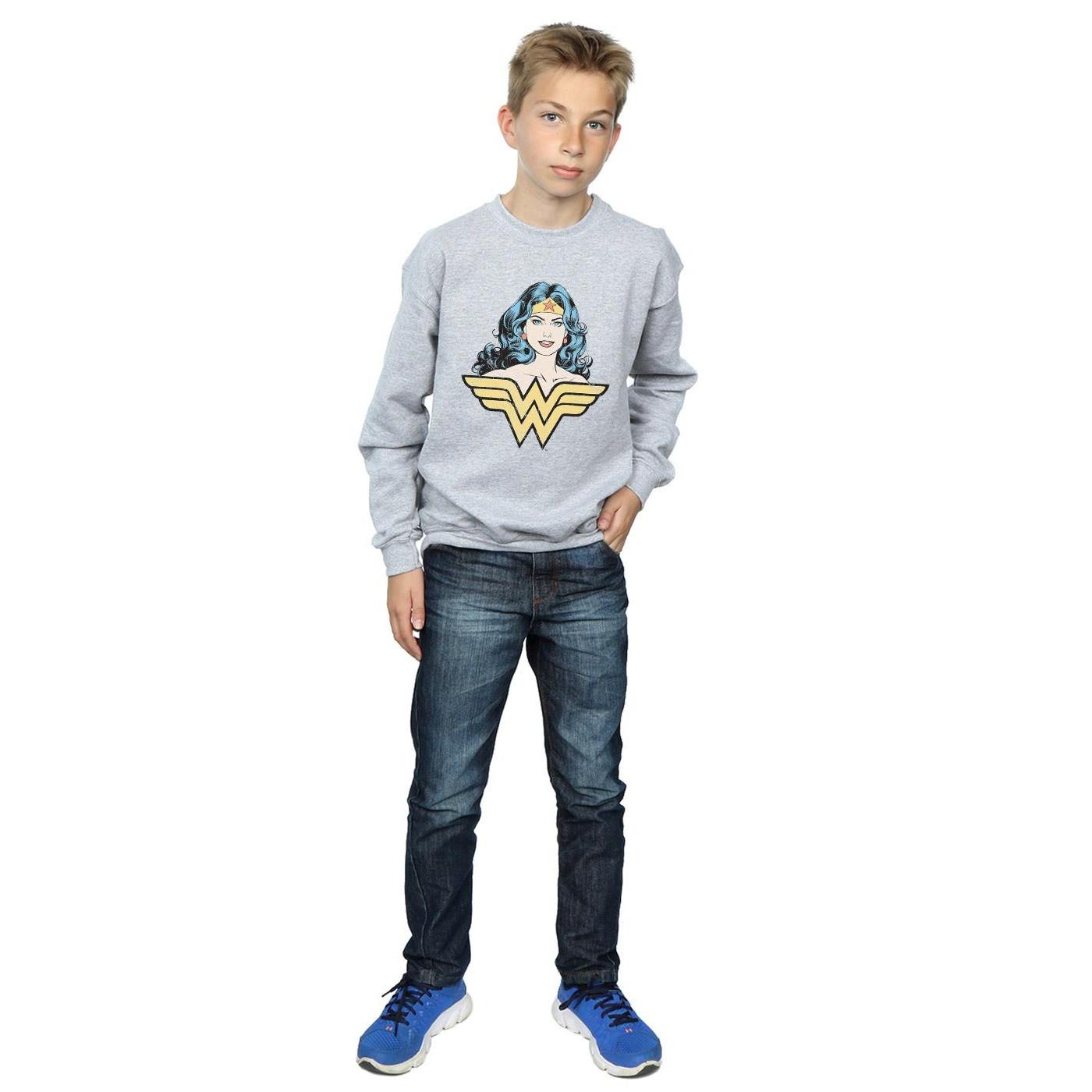 DC COMICS  Sweatshirt 