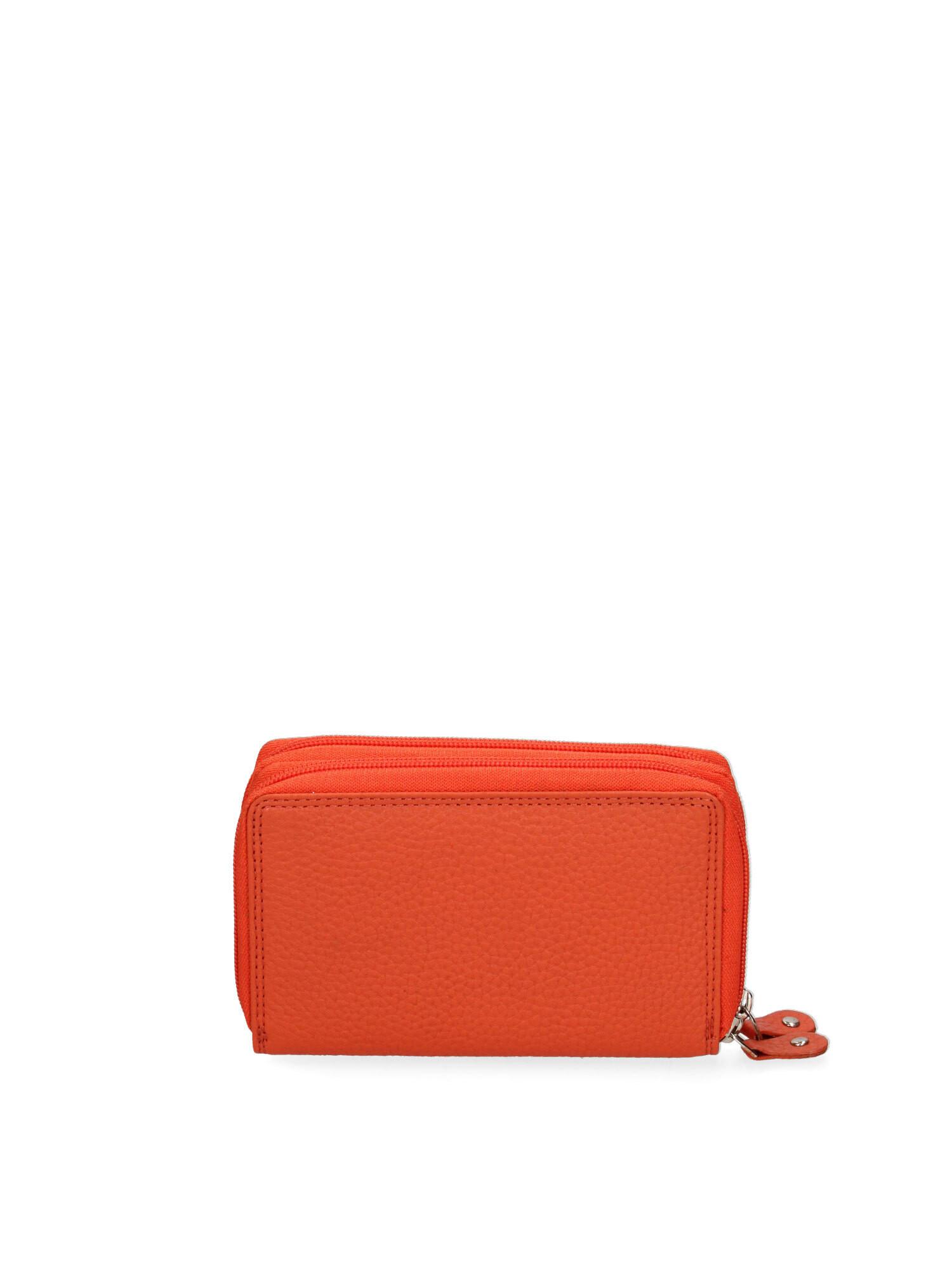 Renato Balestra Portafoglio  