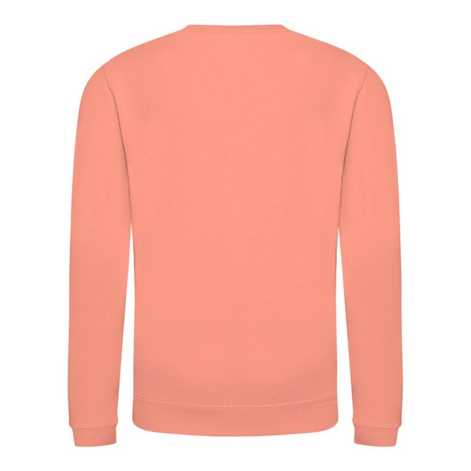 AWDis  Just Hoods Pullover Sweatshirt, unifarben 