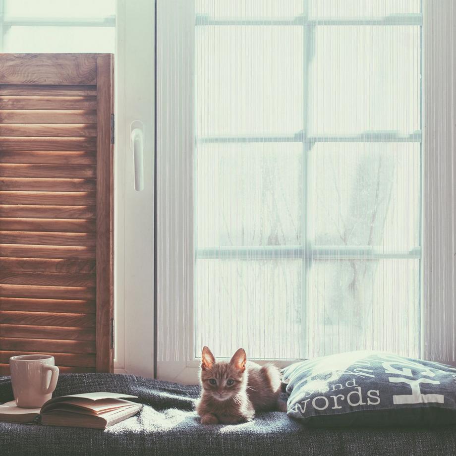 Northio  Fadenvorhang 