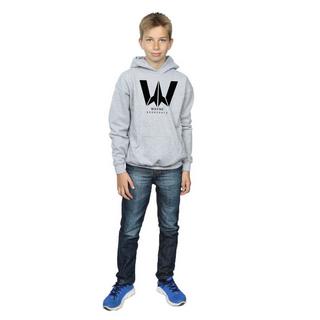 DC COMICS  Sweat à capuche JUSTICE LEAGUE WAYNE AEROSPACE 