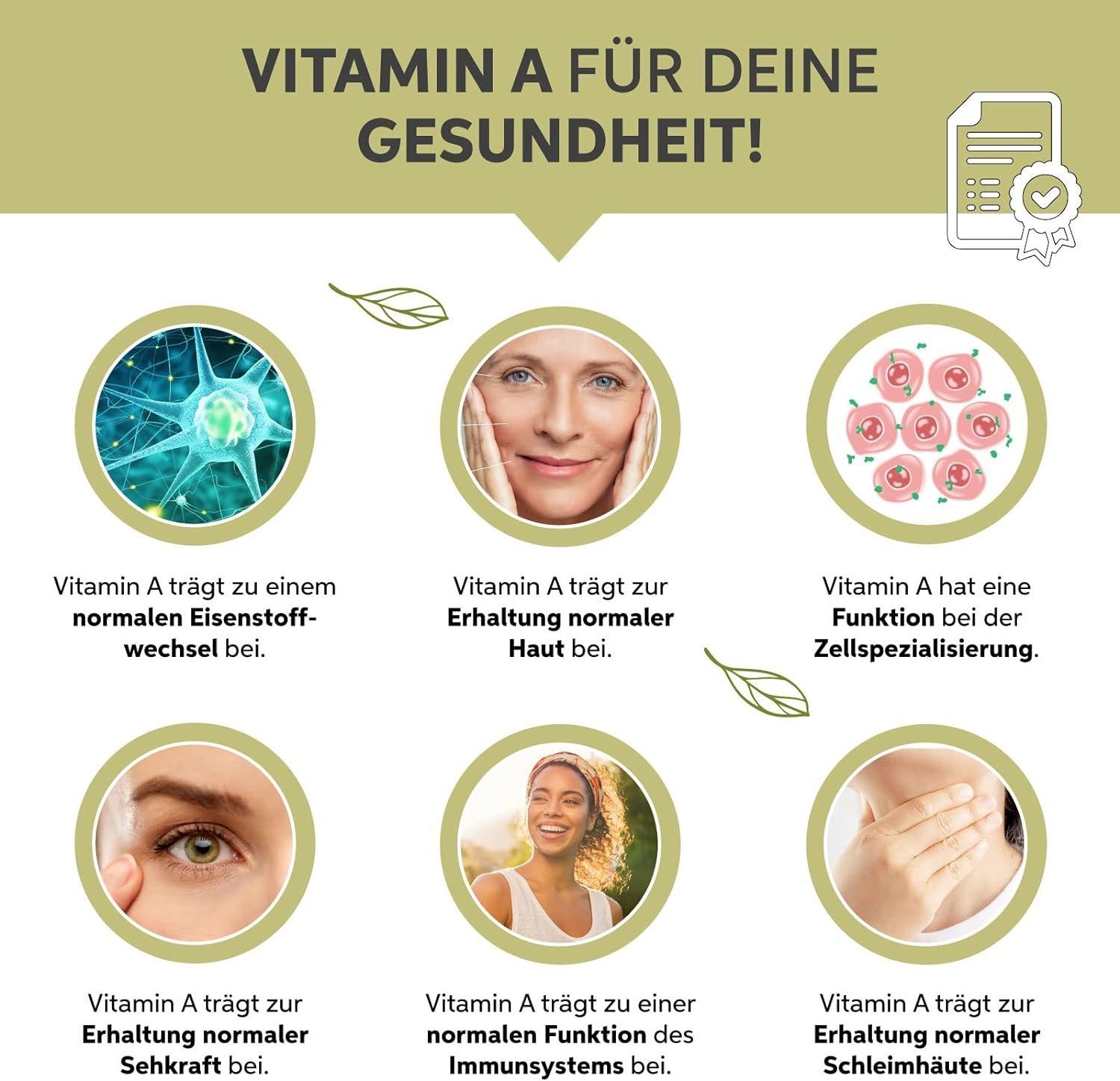 Eltabia  Poudre de moringa bio 