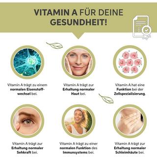 Eltabia  Poudre de moringa bio 