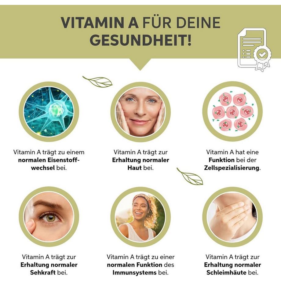 Eltabia  Poudre de moringa bio 