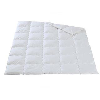 DOR Ganzjahres-Duvet Daunen, CAMELIA CLASSIC  