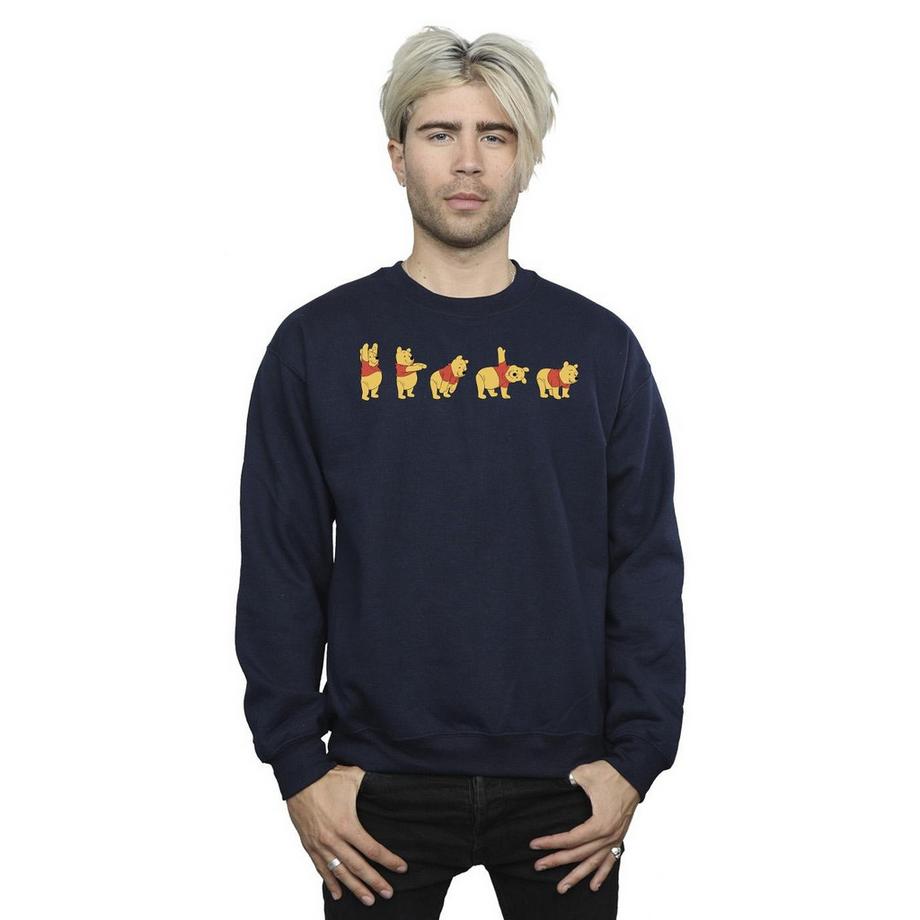 Disney Winnie Puuh Evolution Sweatshirt  