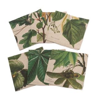 Linoroom Lot de 6 serviettes TREE  