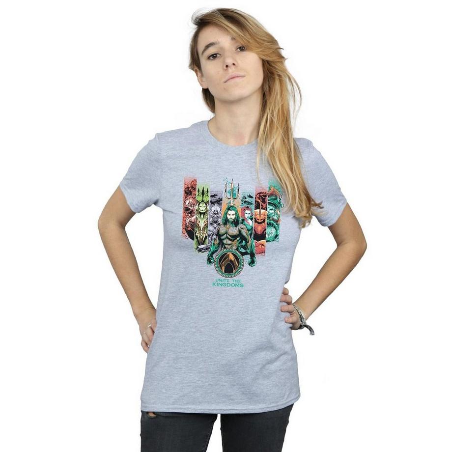 DC COMICS Unite The Kingdoms T-Shirt  