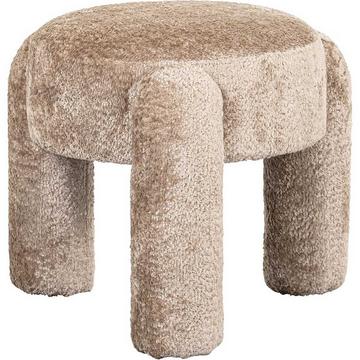 Hocker Holly sheep nature