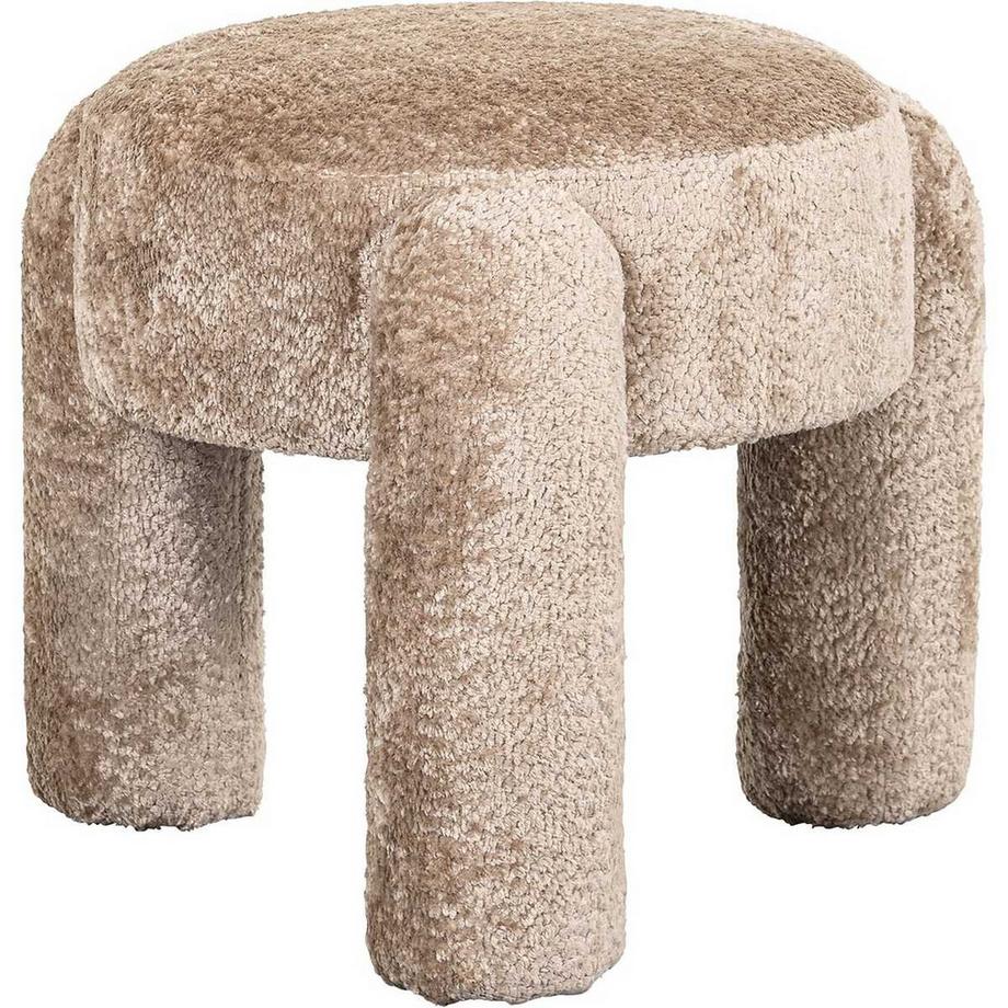 Hocker Holly sheep nature