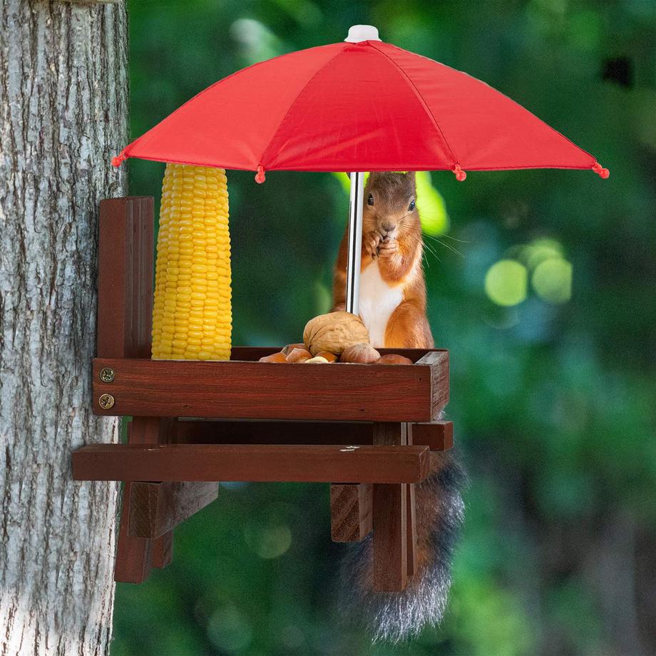 B2X  Tavolo apparecchiato per scoiattolo 