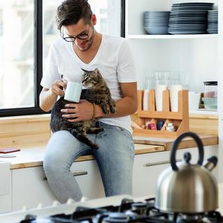 Northix Organisation du café 6 compartiments  