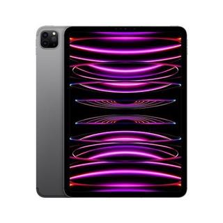 Apple  Apple iPad Pro 11" Puce Apple M2 256 Go Gris Sidéral Wifi Cellular Fin 2022 