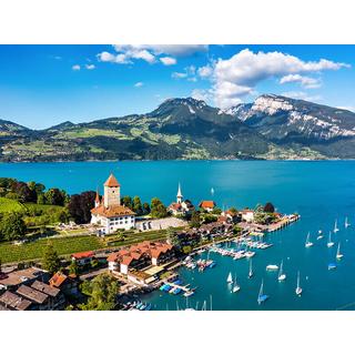 Smartbox  Besuch eines Weinguts inkl. Weinverkostung in der Schweiz für 2 Personen - Geschenkbox 