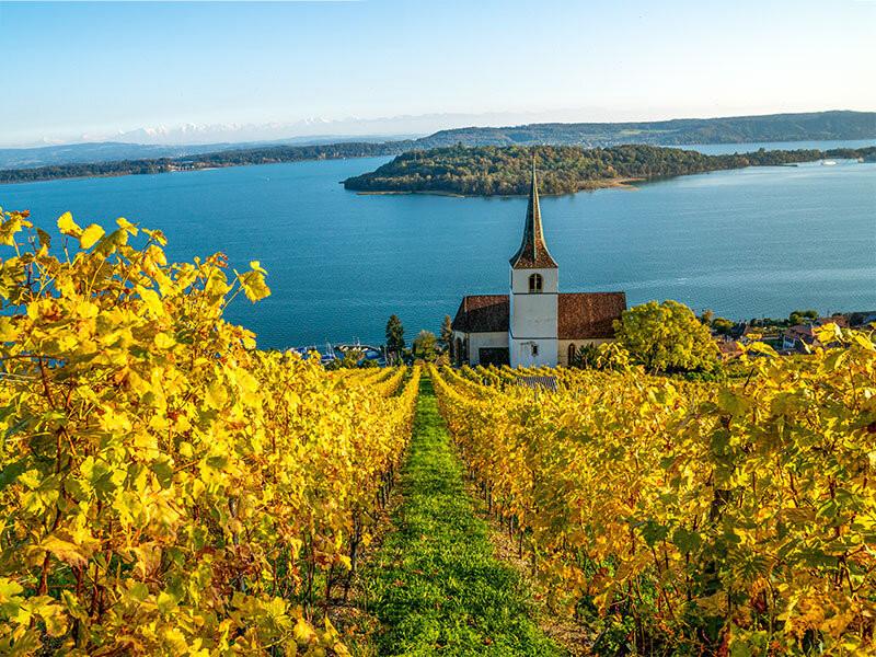 Smartbox  Besuch eines Weinguts inkl. Weinverkostung in der Schweiz für 2 Personen - Geschenkbox 