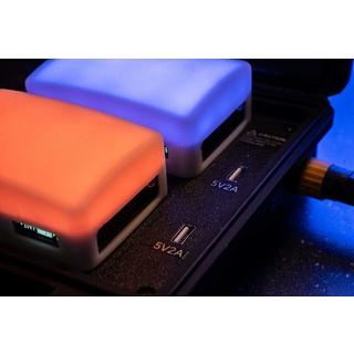 Aputure  Dauerlicht Travel Kit 