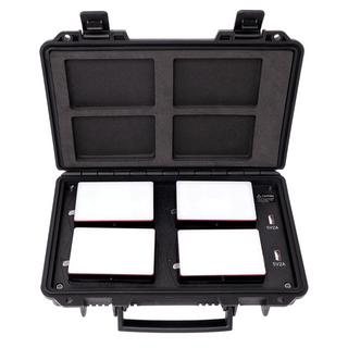 Aputure  Dauerlicht Travel Kit 