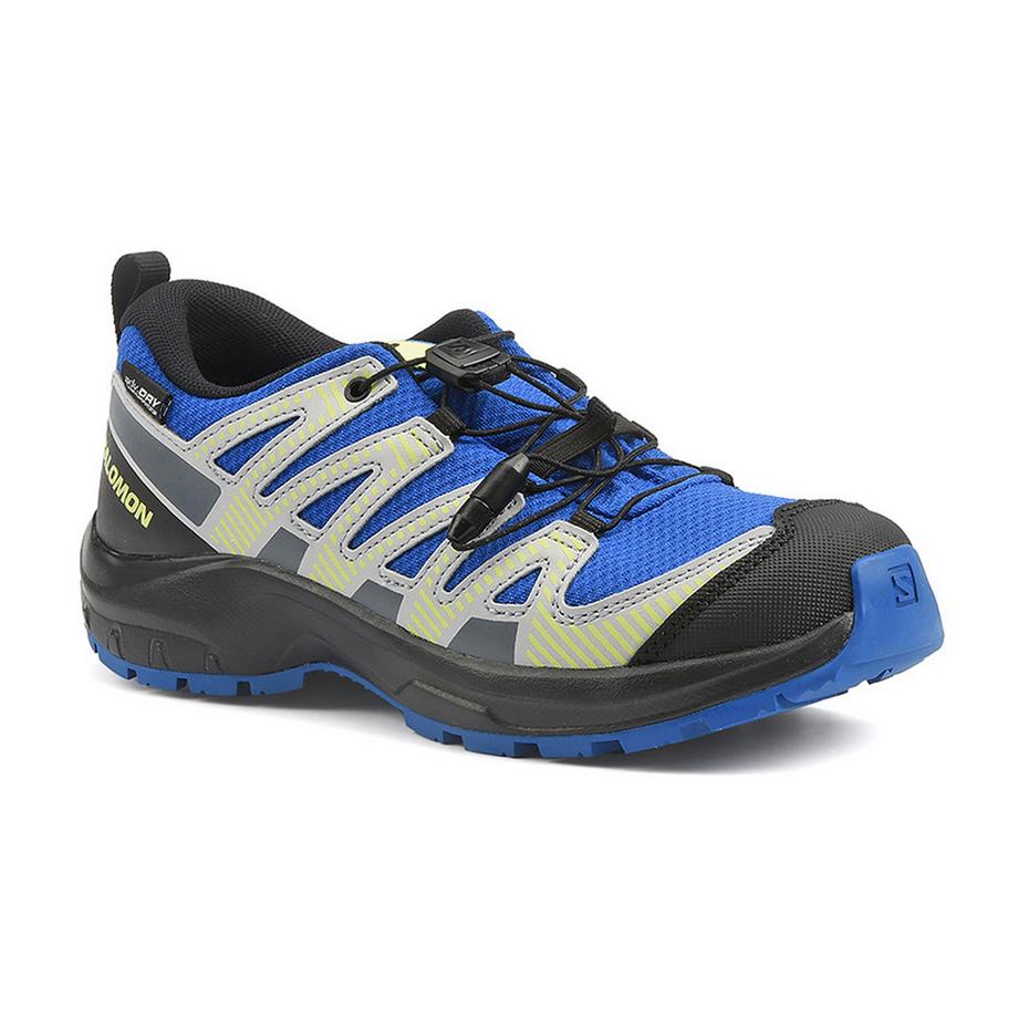 SALOMON  XA PRO V8 WP J 