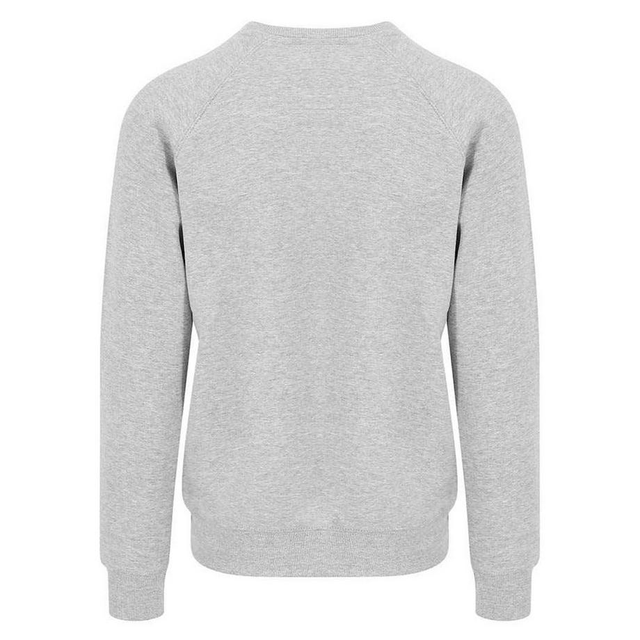 AWDis Graduate Sweatshirt Normal Fit  