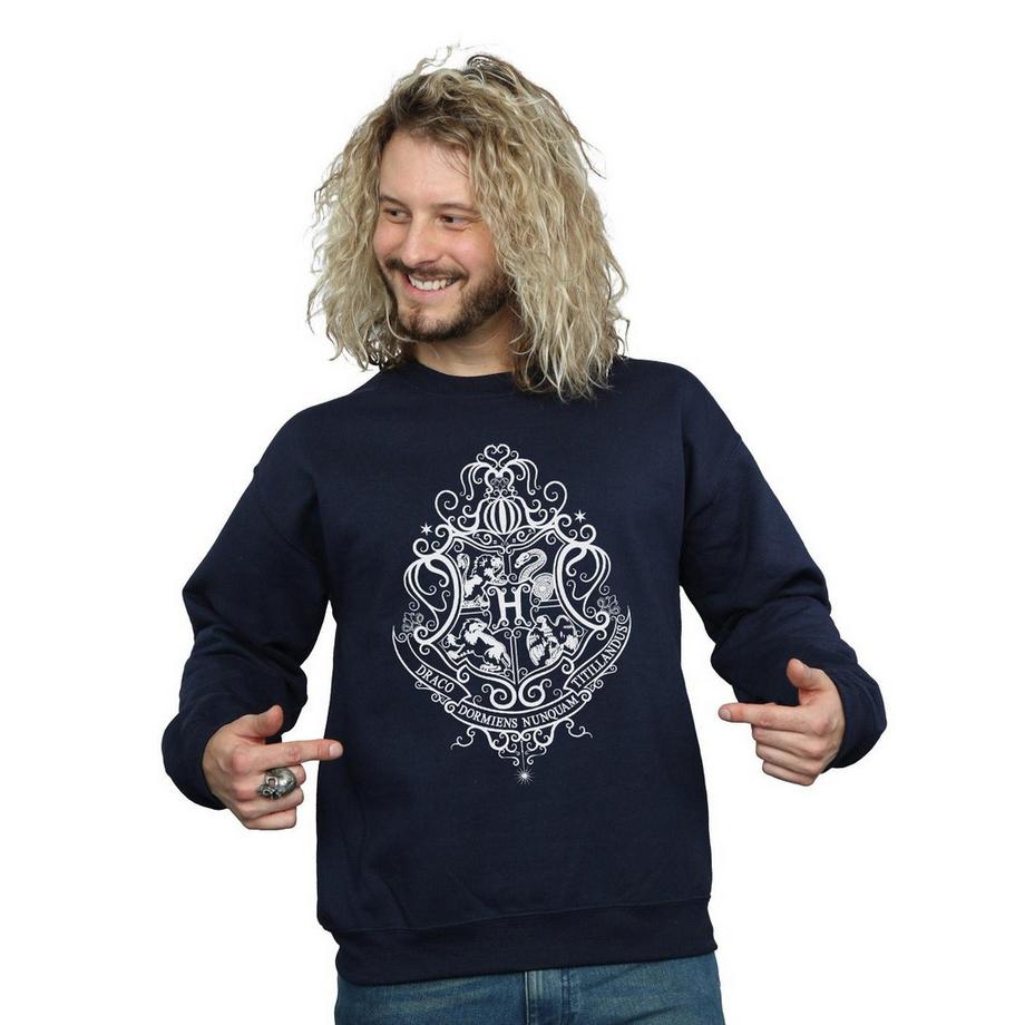 Harry Potter Hogwarts Draco Dormiens Felpa  
