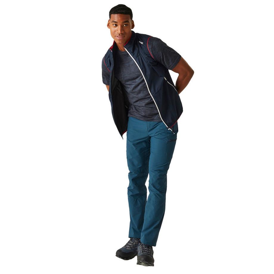 Regatta Gilet Lankin VI  