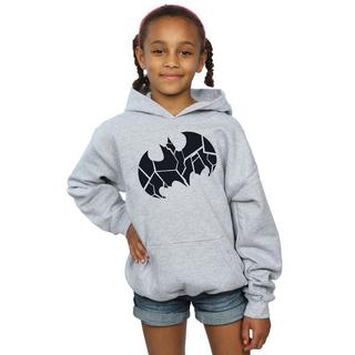 DC COMICS  Kapuzenpullover 