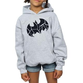 DC COMICS  Kapuzenpullover 