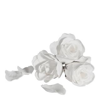 Mathilde M  Rose en Feuille de Savon 