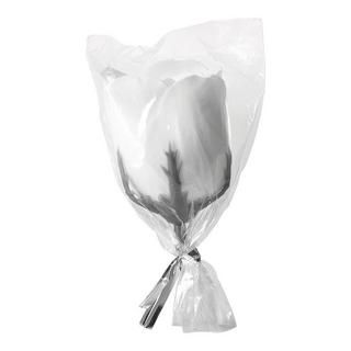 Mathilde M  Rose en Feuille de Savon 