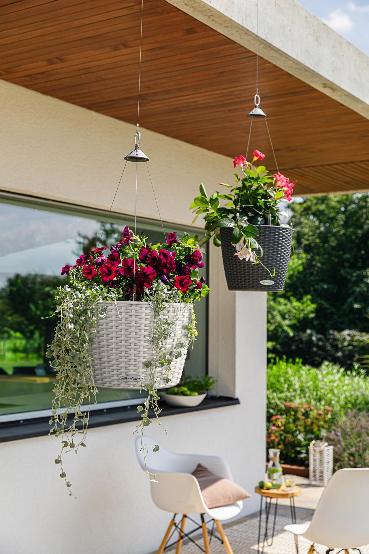 Lechuza Nido Cottage  