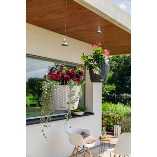 Lechuza Nido Cottage  