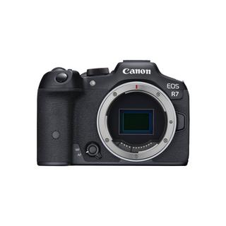 Canon  EOS R7 + EF-EOS R 