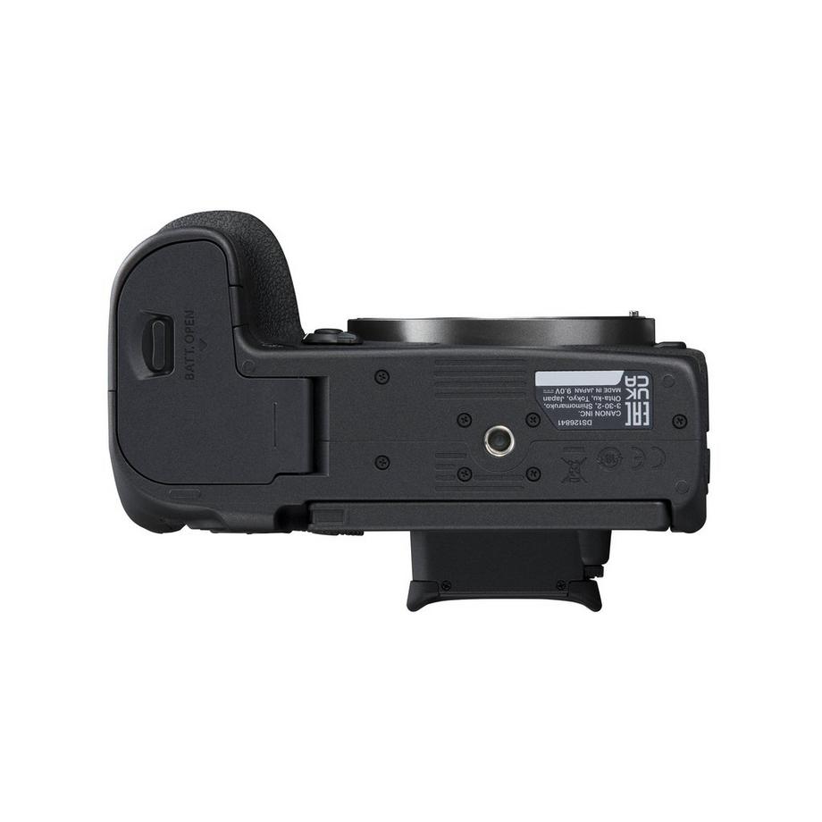 Canon  EOS R7 + EF-EOS R 