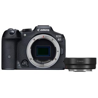 Canon  EOS R7 + EF-EOS R 