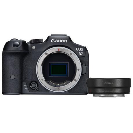 Canon  EOS R7 + EF-EOS R 
