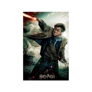 Philos  Puzzle 3D Puzzle Harry Potter in Sammlerbox (300Teile) 