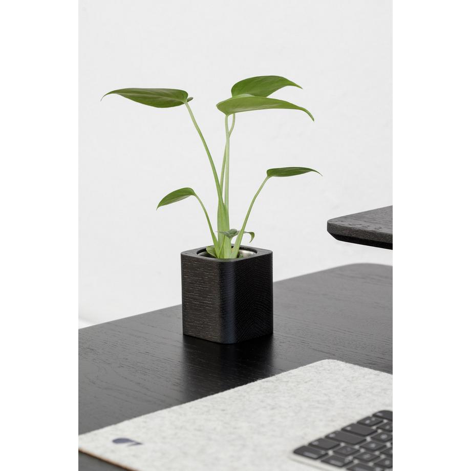 Oakywood Cubic Pot Pot en bois cubique - pour des crayons ou une fleur  