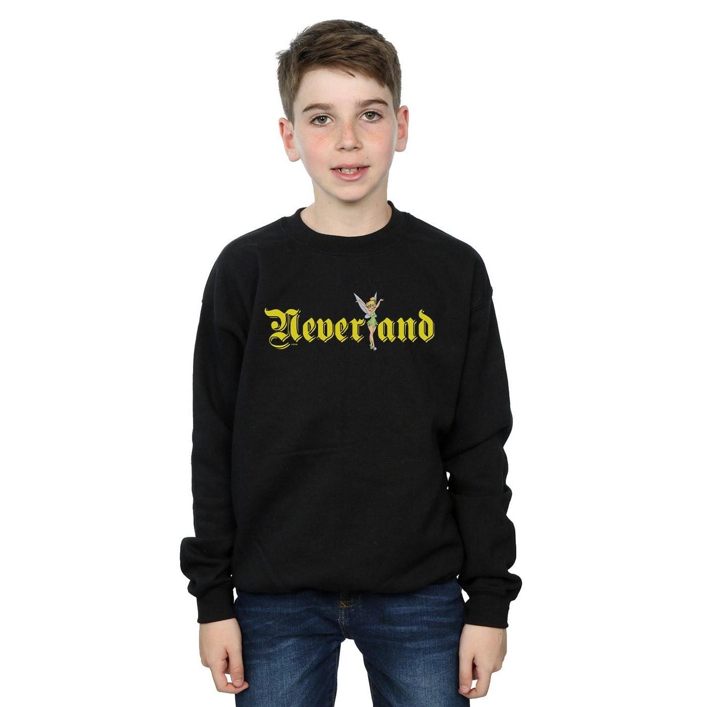 Disney  Tinker Bell Neverland Sweatshirt 