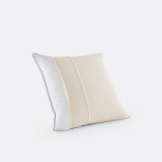 La Redoute Intérieurs Kopfkissenschutz Jersey 100 % Bio-Baumwolle wasserdicht  