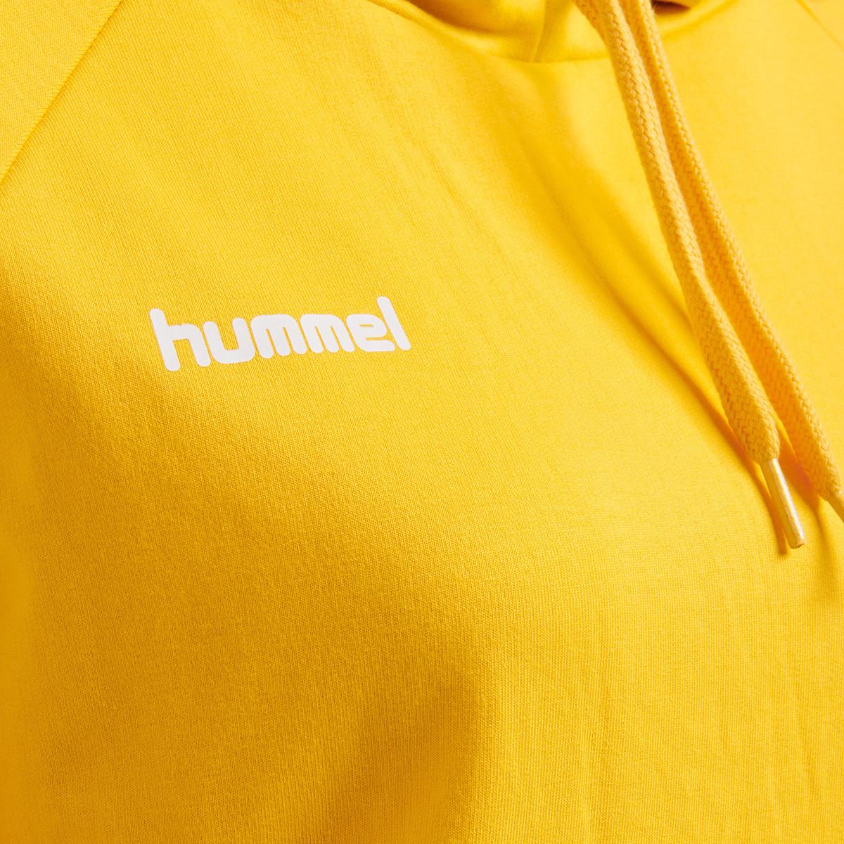 Hummel  sweatshirt à capuche huel hlgo cotton 