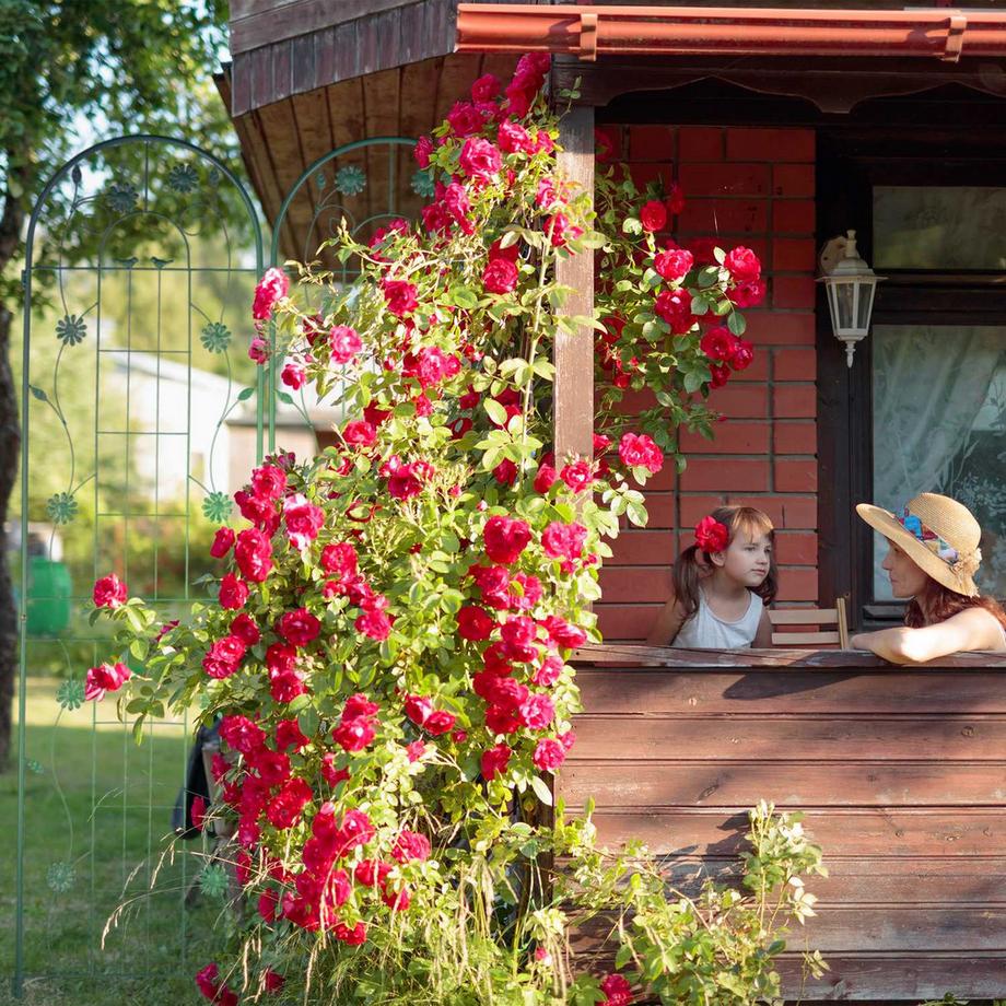 B2X Rankgitter 200 cm 2er Set  